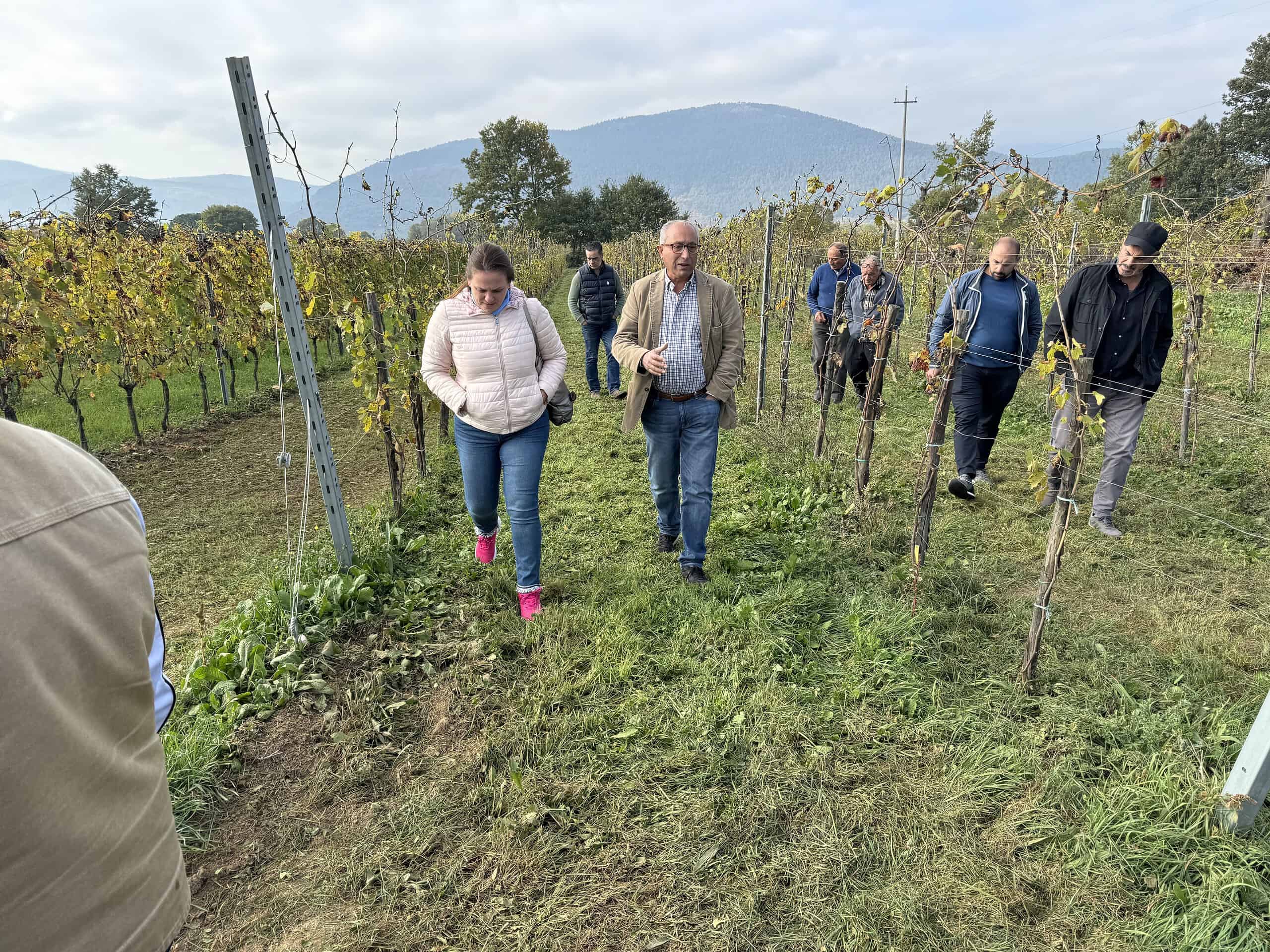 Persone che camminano tra le vigne.