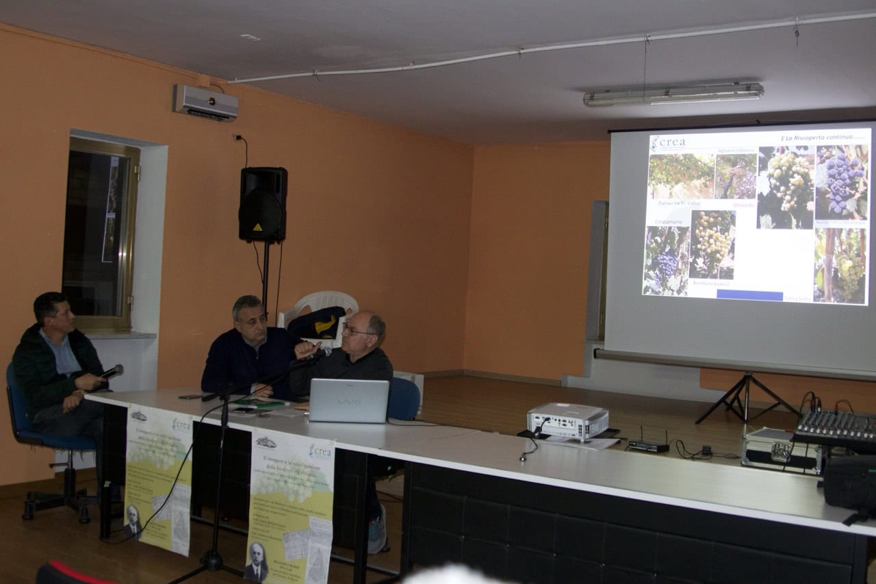 Convegno sulla viticoltura in corso.