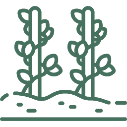 Icona Vitigno