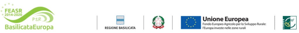 Logo di progetti europei e regionali