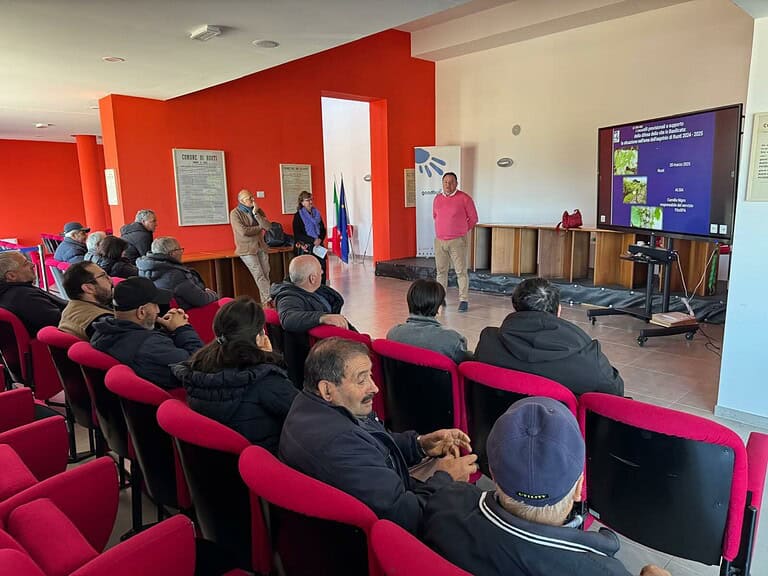Persone in aula per un seminario